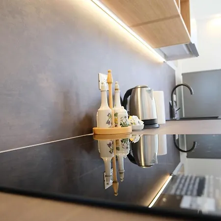 Vr - Terrazza Arena 2 * 维罗纳